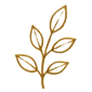 4-ICON-GFX-leaves-85px